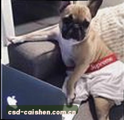 赵阳