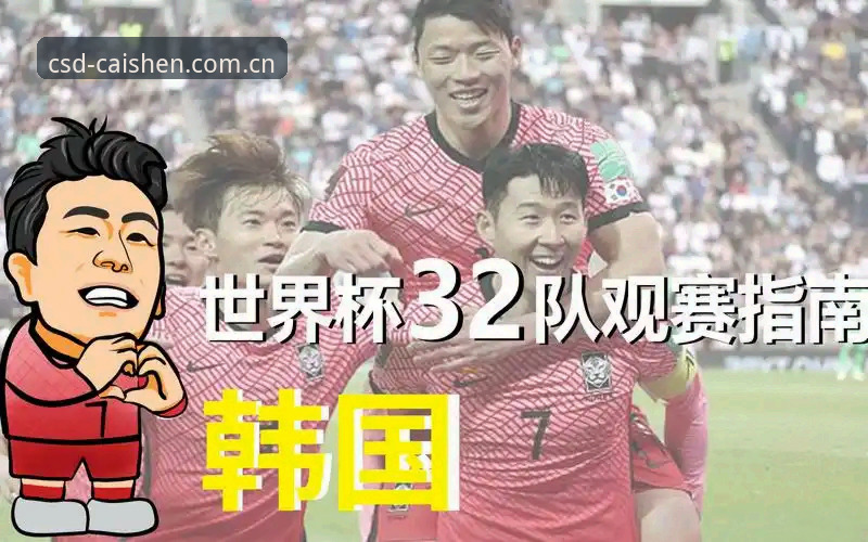 资深用户实战分享：从世界杯签证风波看地缘政治如何影响观赛体验