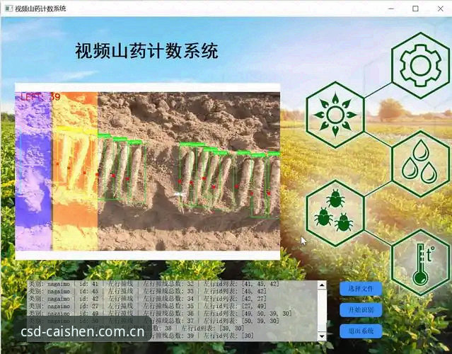 CSD最新版下载必备 CSD最新版下载必备:官方版vs第三方版,哪个更值得选择?